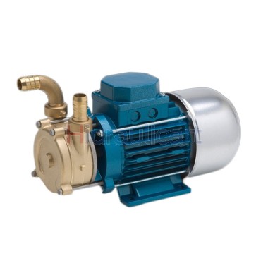 Bomba de transferencia Tellarini ECC 12 Vcc 24 Vcc