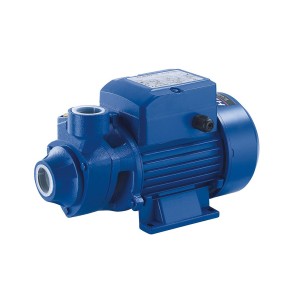 Bomba de agua periférica QB