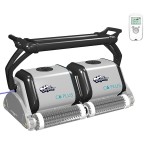 Limpiador aspirador de piscina Dolphin C6 Plus
